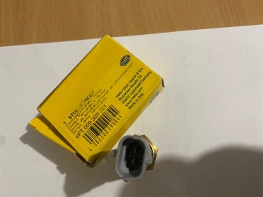 HELLA 6PT 009 309-321 Sensor, Kühlmitteltemperatur Ford, Opel, GM, Vauxhall